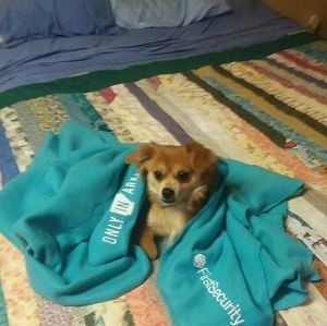 Meet your Posher, Garry